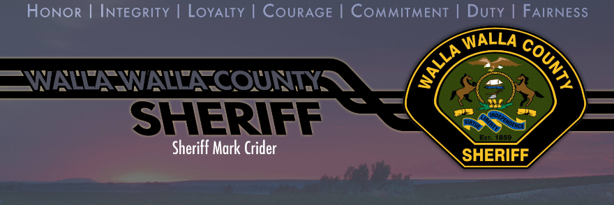 Sheriff Fingerprints Hero